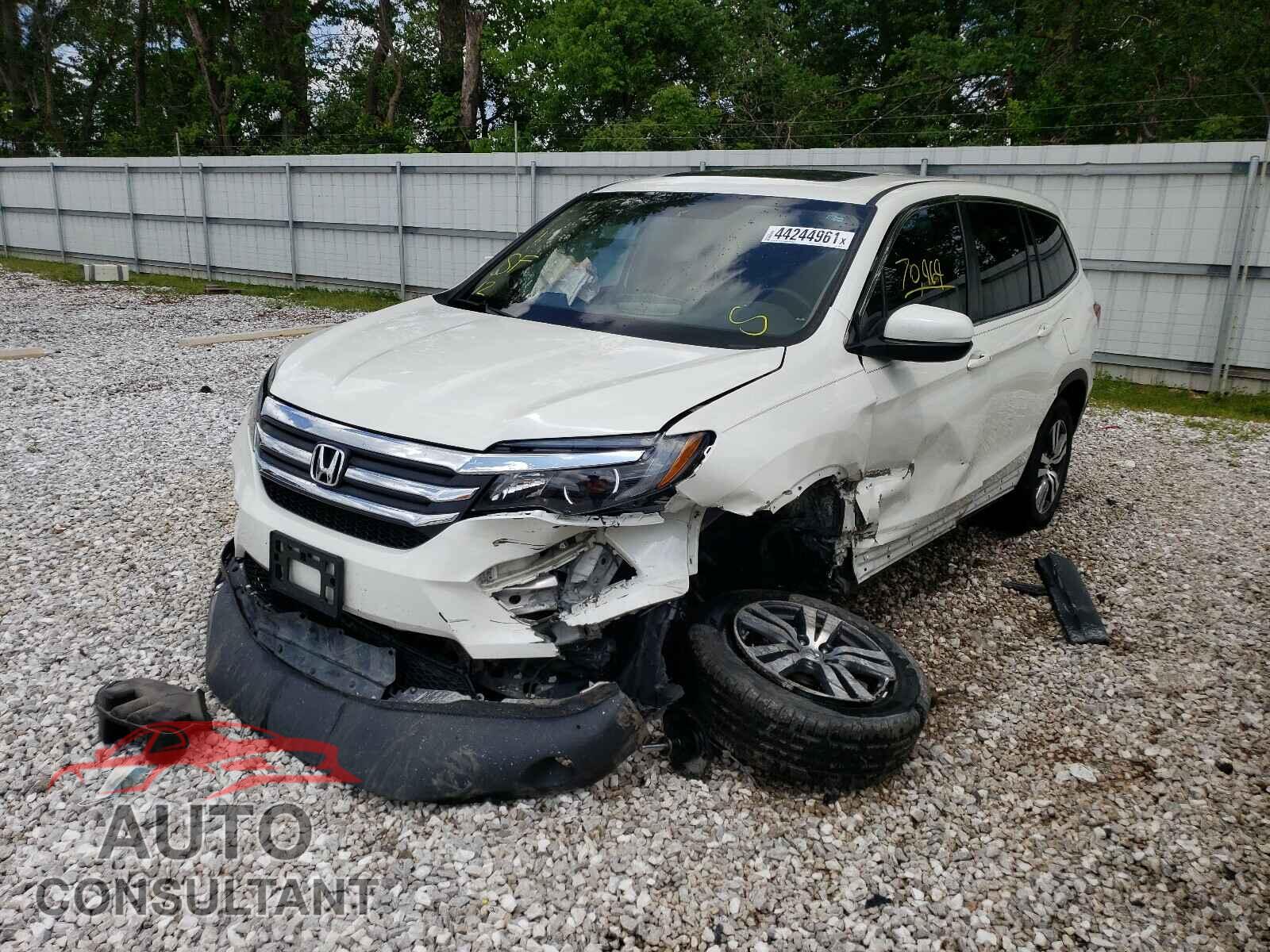 HONDA PILOT 2017 - 5FNYF5H55HB047908