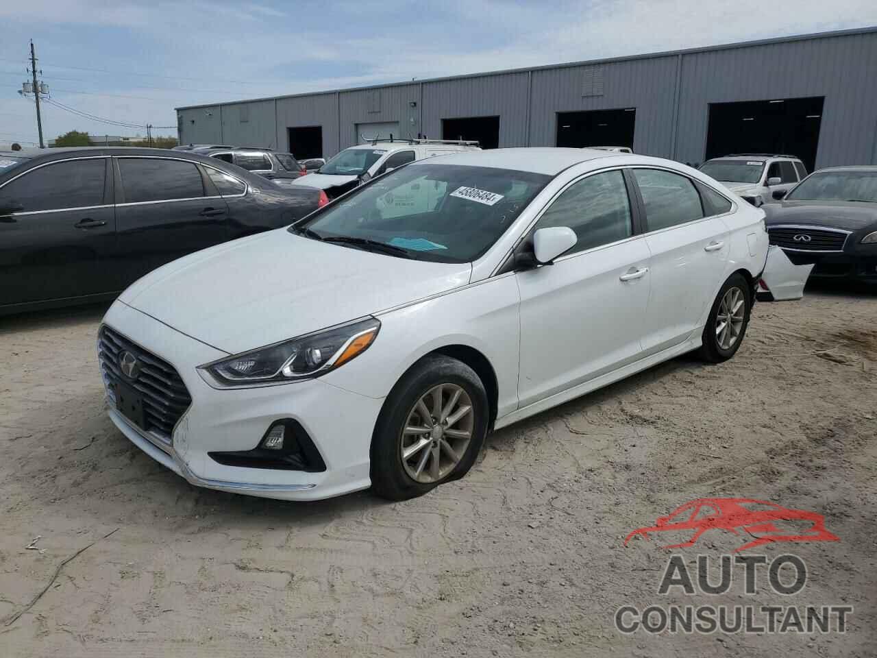 HYUNDAI SONATA 2019 - 5NPE24AF2KH803148