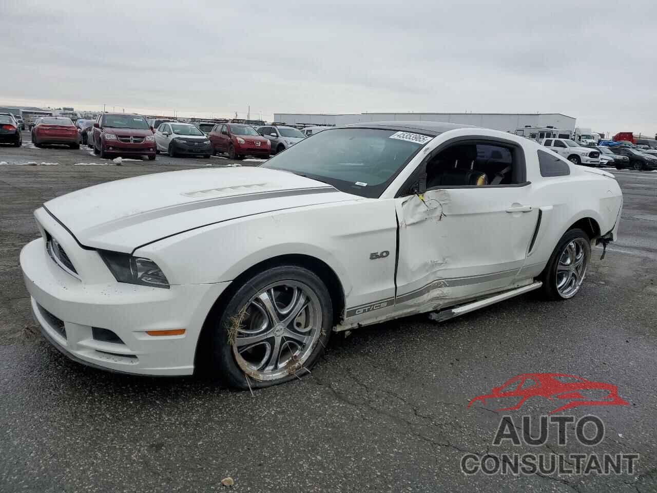 FORD MUSTANG 2013 - 1ZVBP8CF9D5211903