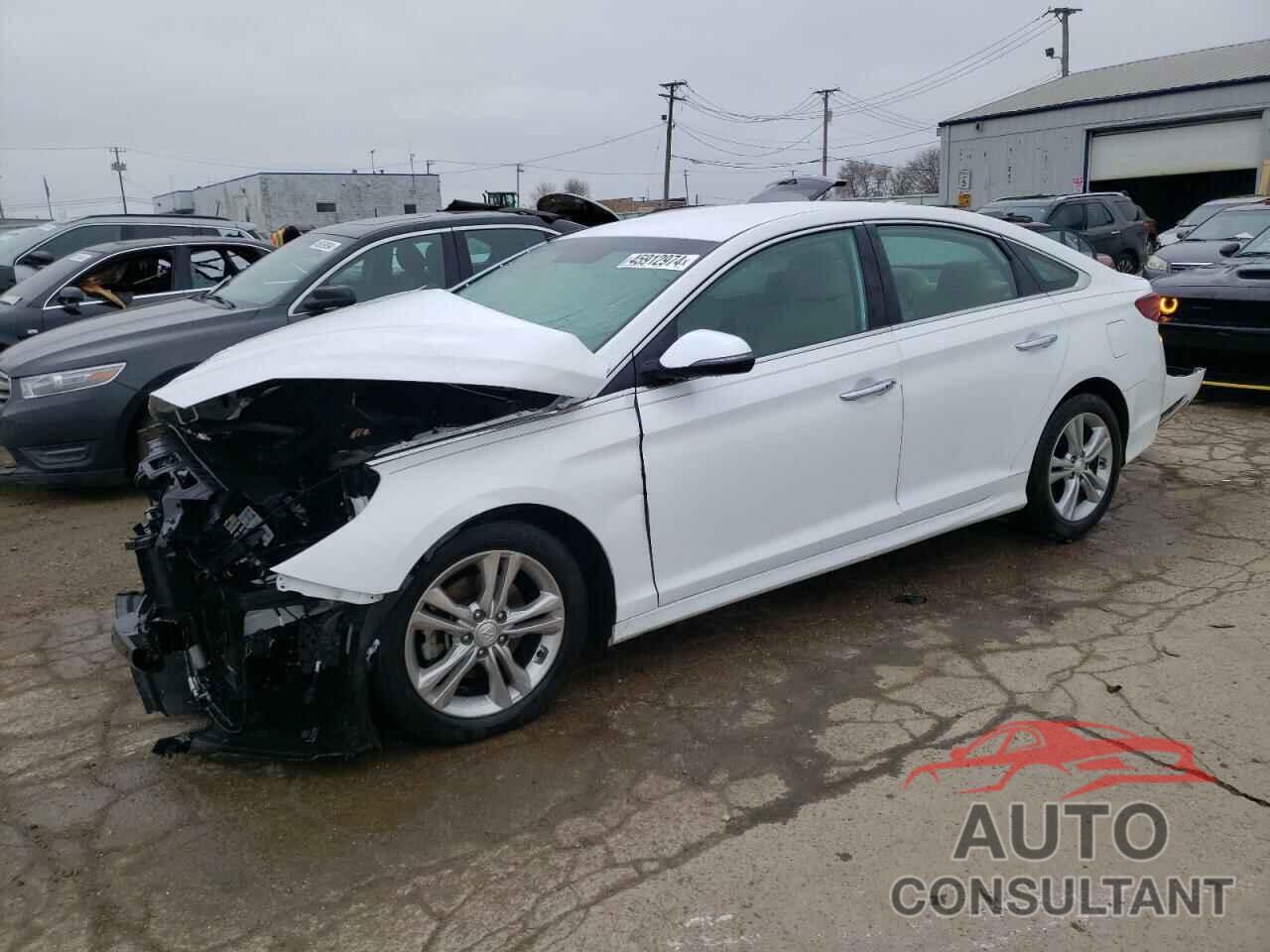 HYUNDAI SONATA 2019 - 5NPE34AF8KH756981