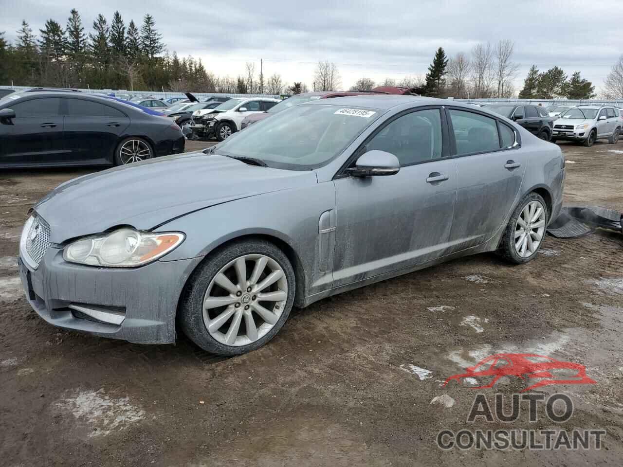 JAGUAR XF 2010 - SAJXA0FA7AHR57466