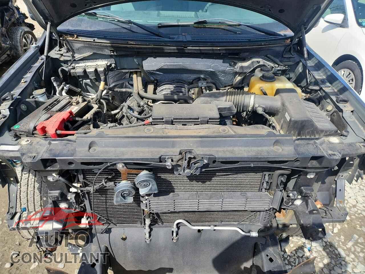 FORD F150 2013 - 1FTFX1EF2DFD34686