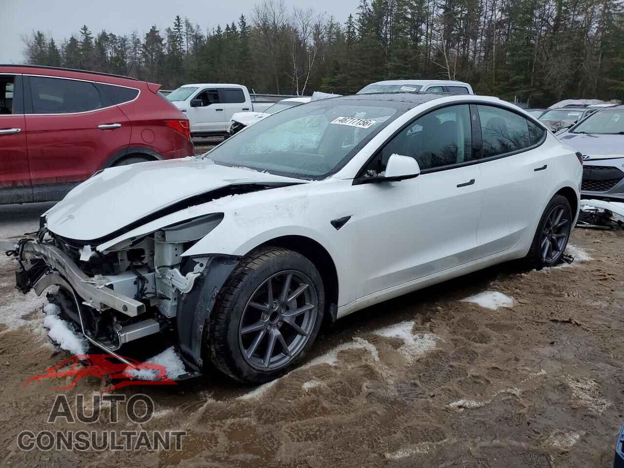 TESLA MODEL 3 2023 - LRW3E1FA9PC845777