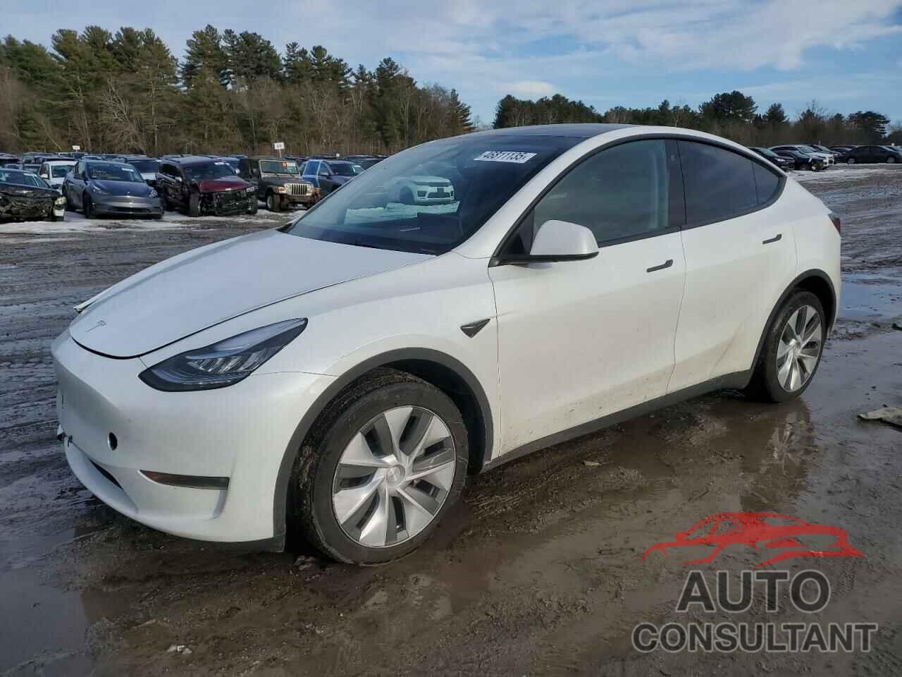 TESLA MODEL Y 2023 - 7SAYGDEE0PA116790