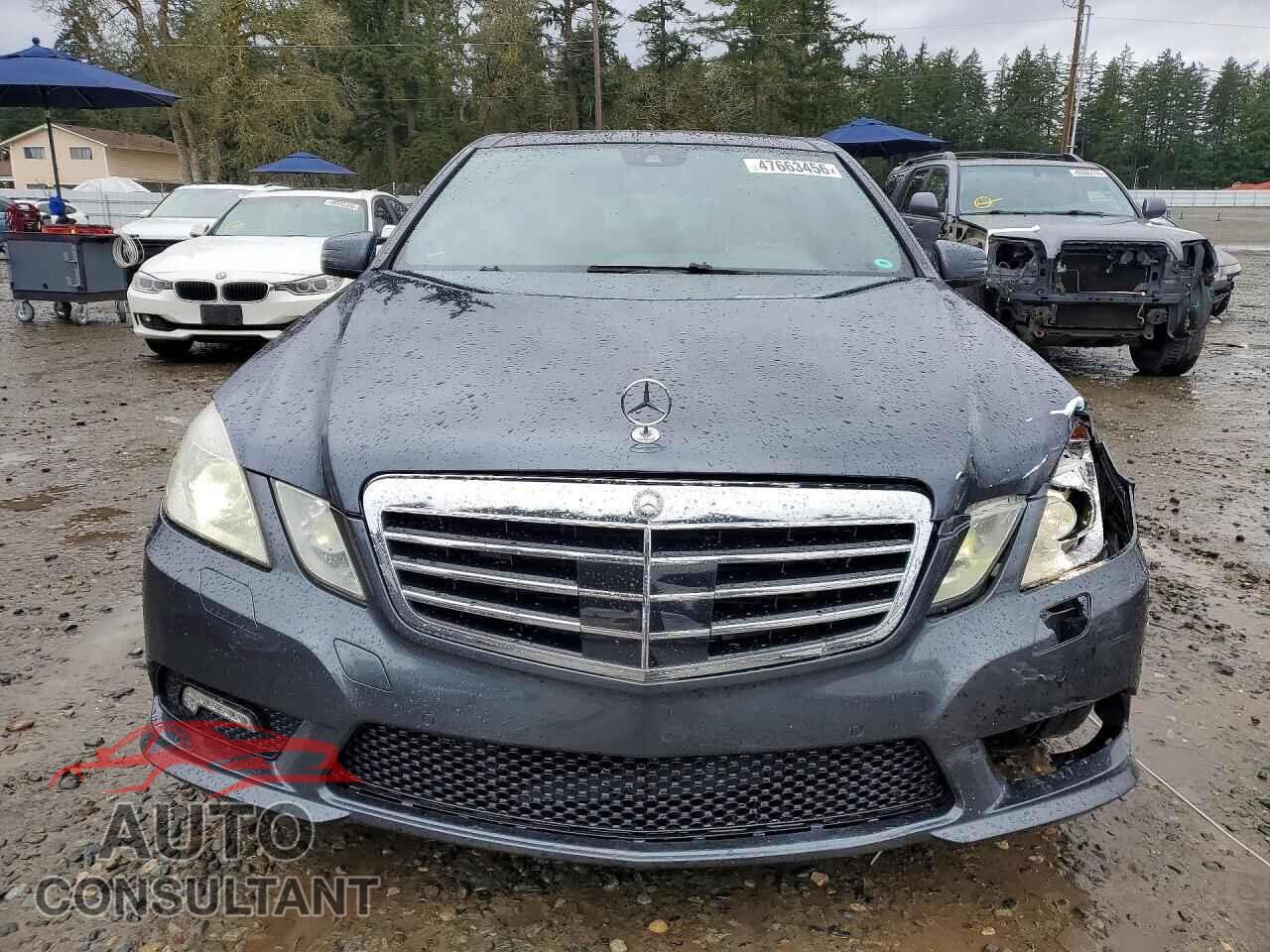 MERCEDES-BENZ E-CLASS 2010 - WDDHF7CB9AA018165
