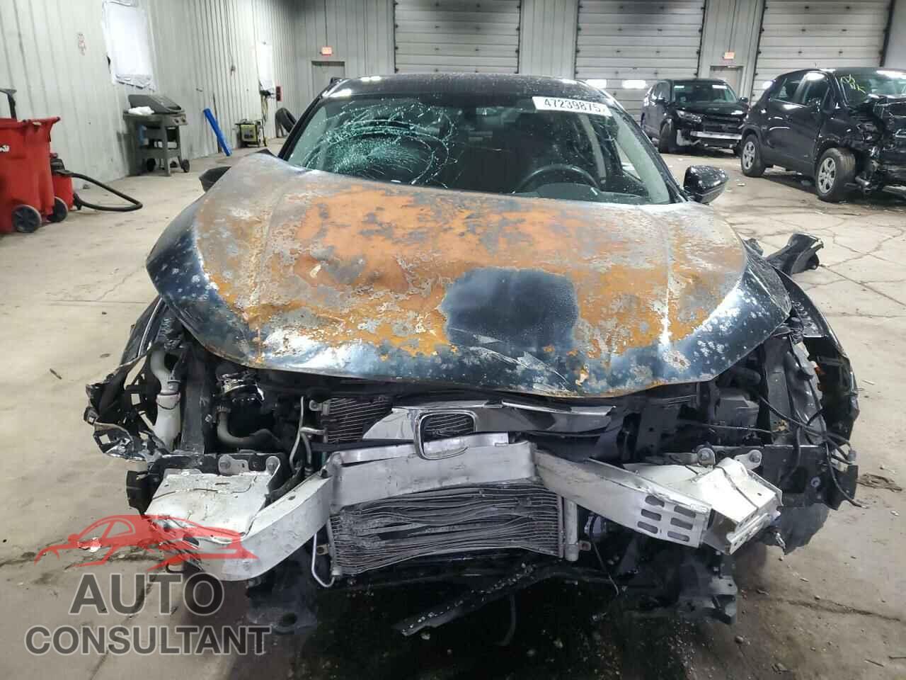 HONDA CIVIC 2017 - 19XFC2F52HE030376