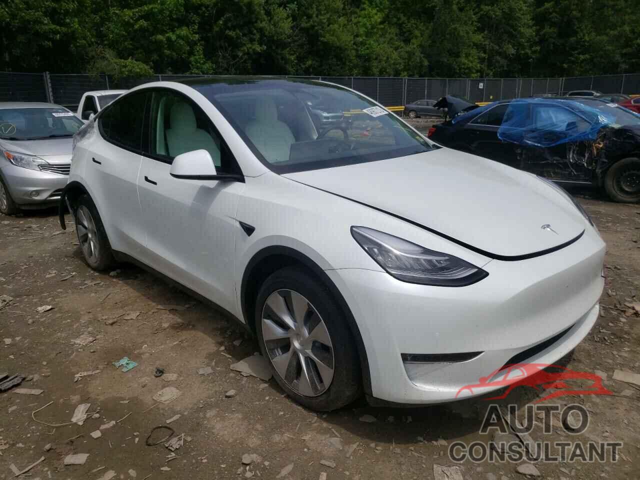 TESLA MODEL Y 2021 - 5YJYGDEE2MF295149