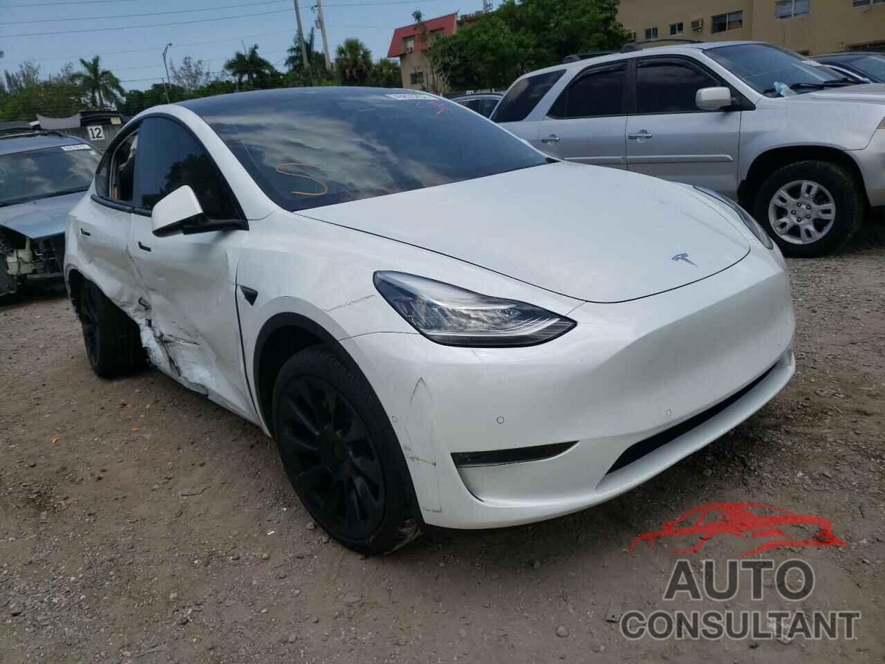 TESLA MODEL Y 2021 - 5YJYGDEEXMF081039