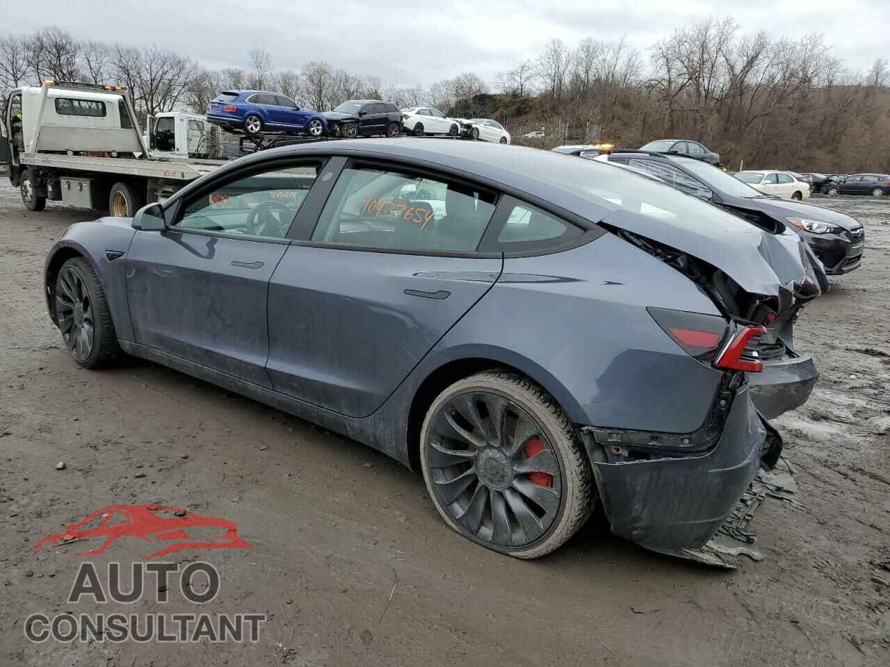 TESLA MODEL 3 2023 - 5YJ3E1EC1PF399276