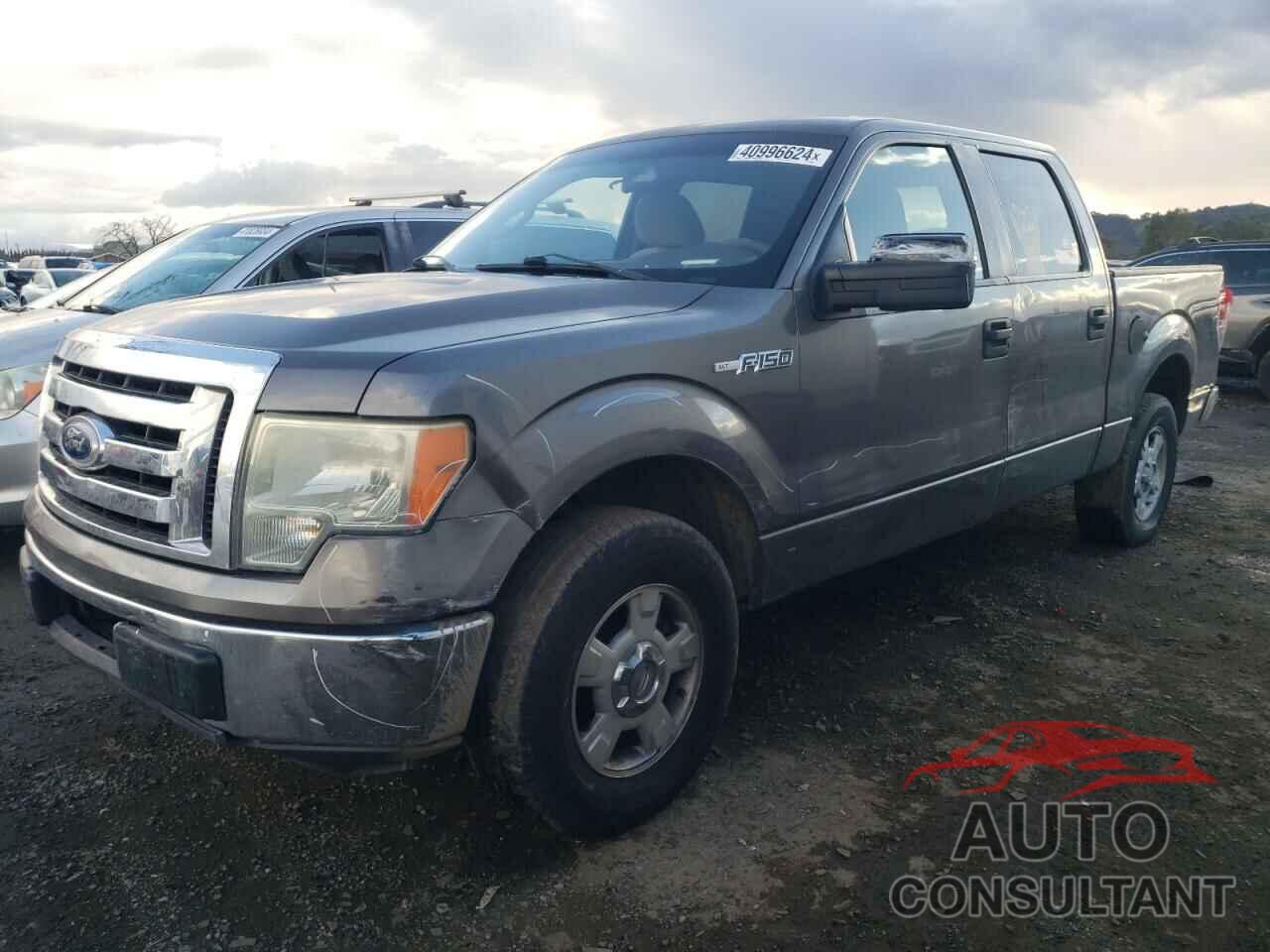 FORD F-150 2010 - 1FTEW1C84AKE20944