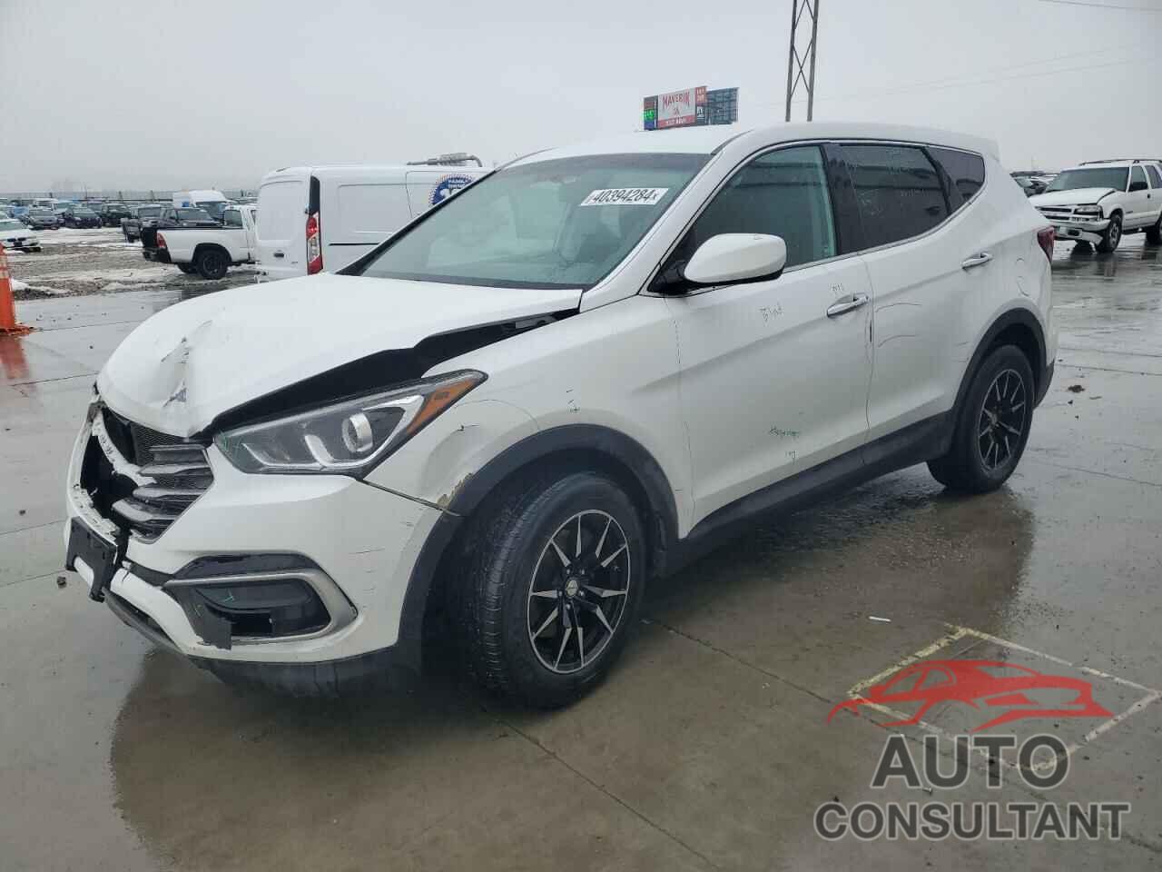 HYUNDAI SANTA FE 2017 - 5NMZTDLB8HH018910