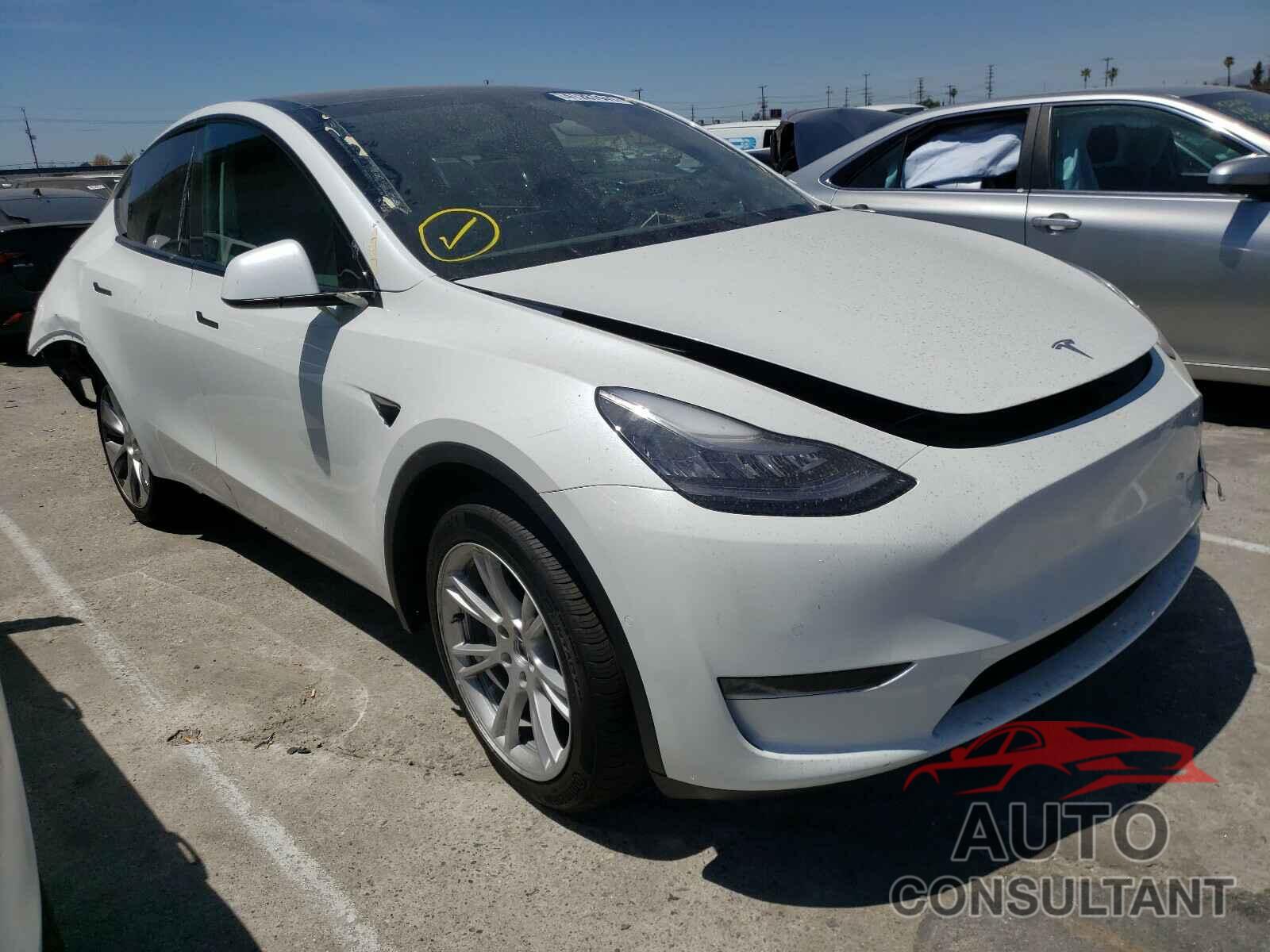 TESLA MODEL Y 2021 - 5YJYGDEE5MF149635