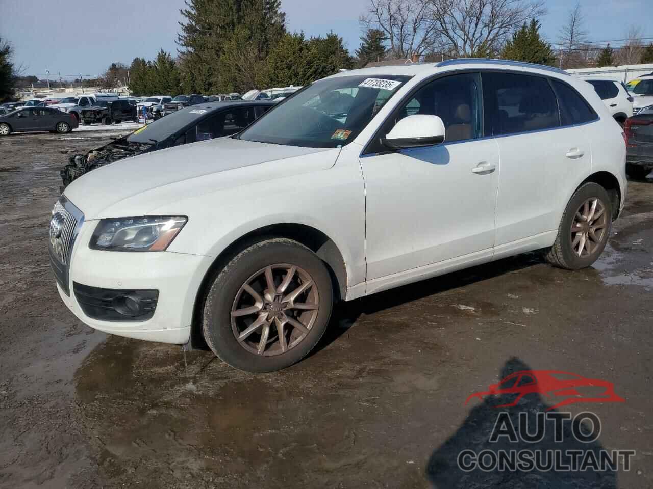 AUDI Q5 2012 - WA1LFAFP5CA031050