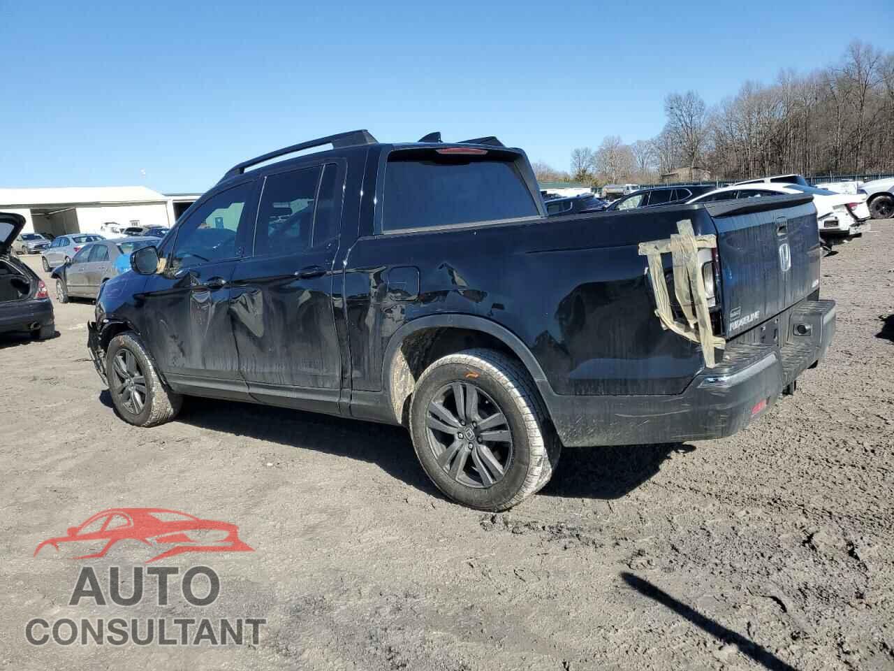 HONDA RIDGELINE 2019 - 5FPYK3F12KB044382