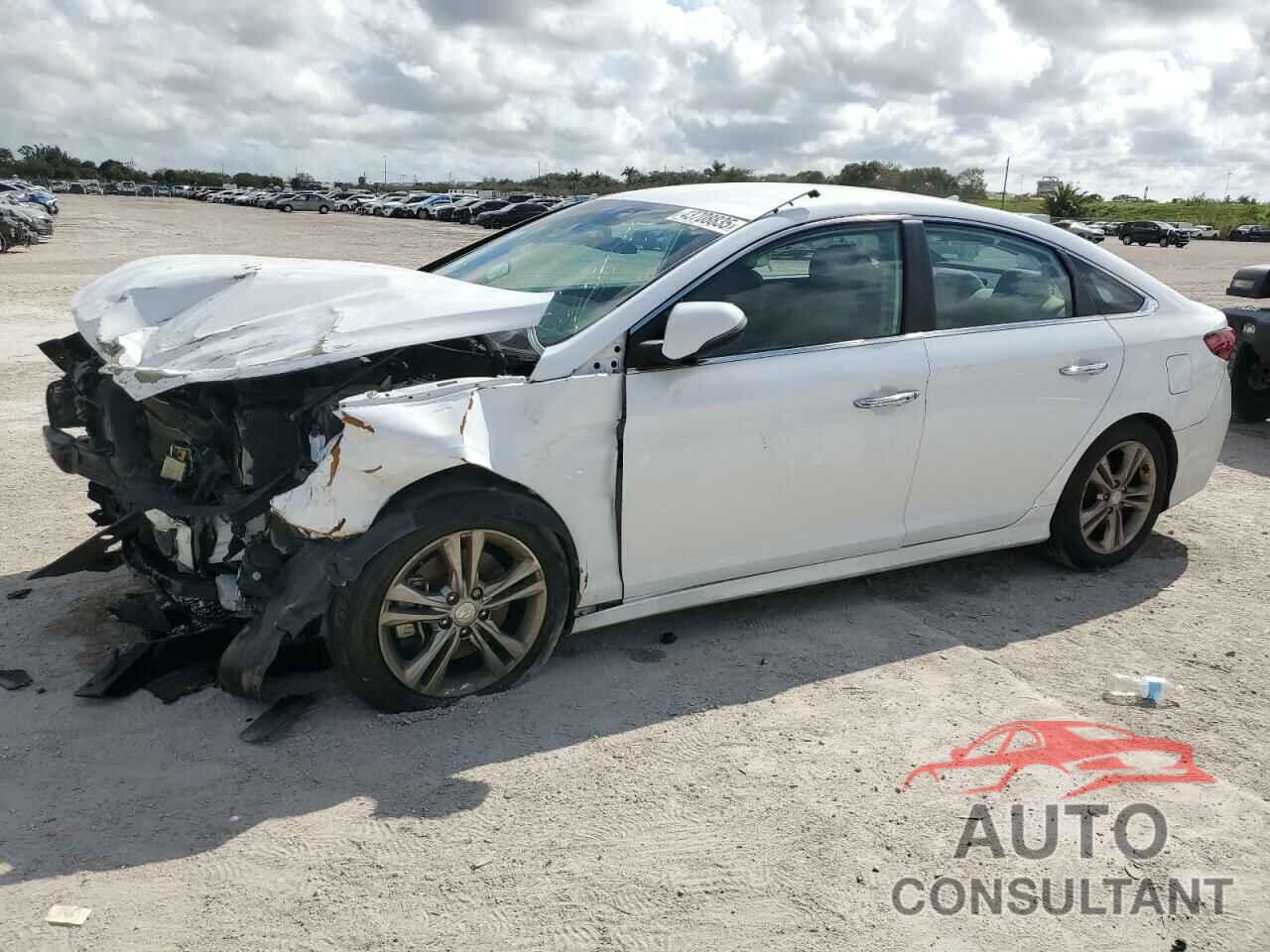 HYUNDAI SONATA 2019 - 5NPE34AF2KH737746