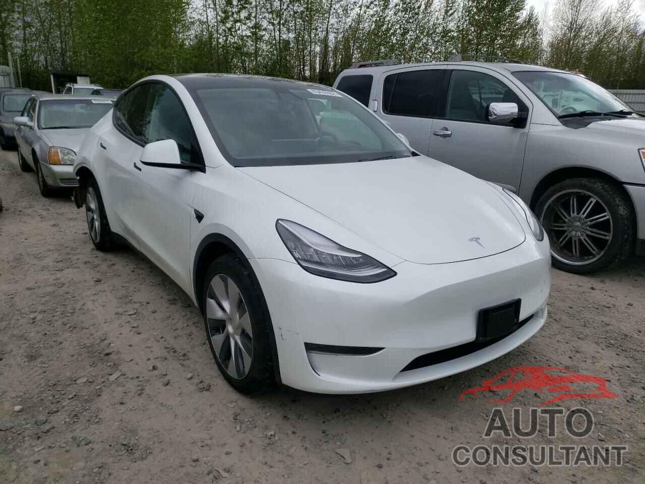 TESLA MODEL Y 2021 - 5YJYGDEEXMF065729