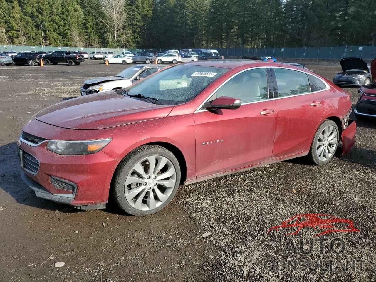 CHEVROLET MALIBU 2017 - 1G1ZH5SX3HF221603