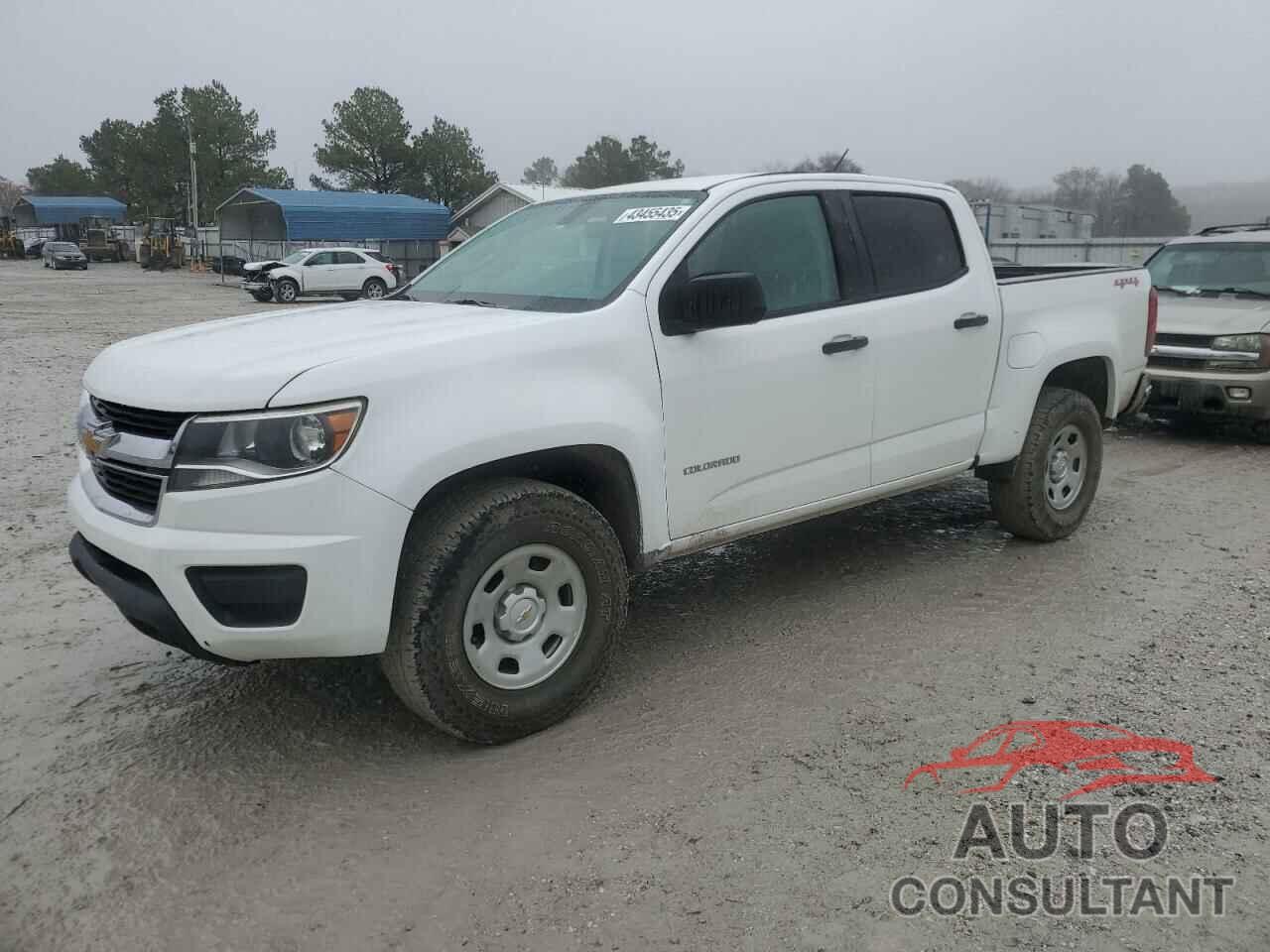 CHEVROLET COLORADO 2019 - 1GCGTBEN9K1354215