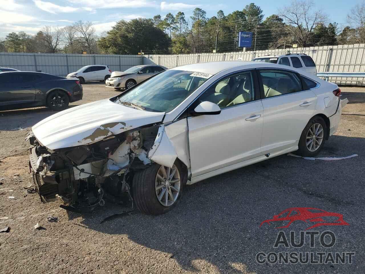 HYUNDAI SONATA 2019 - 5NPE24AF4KH810070