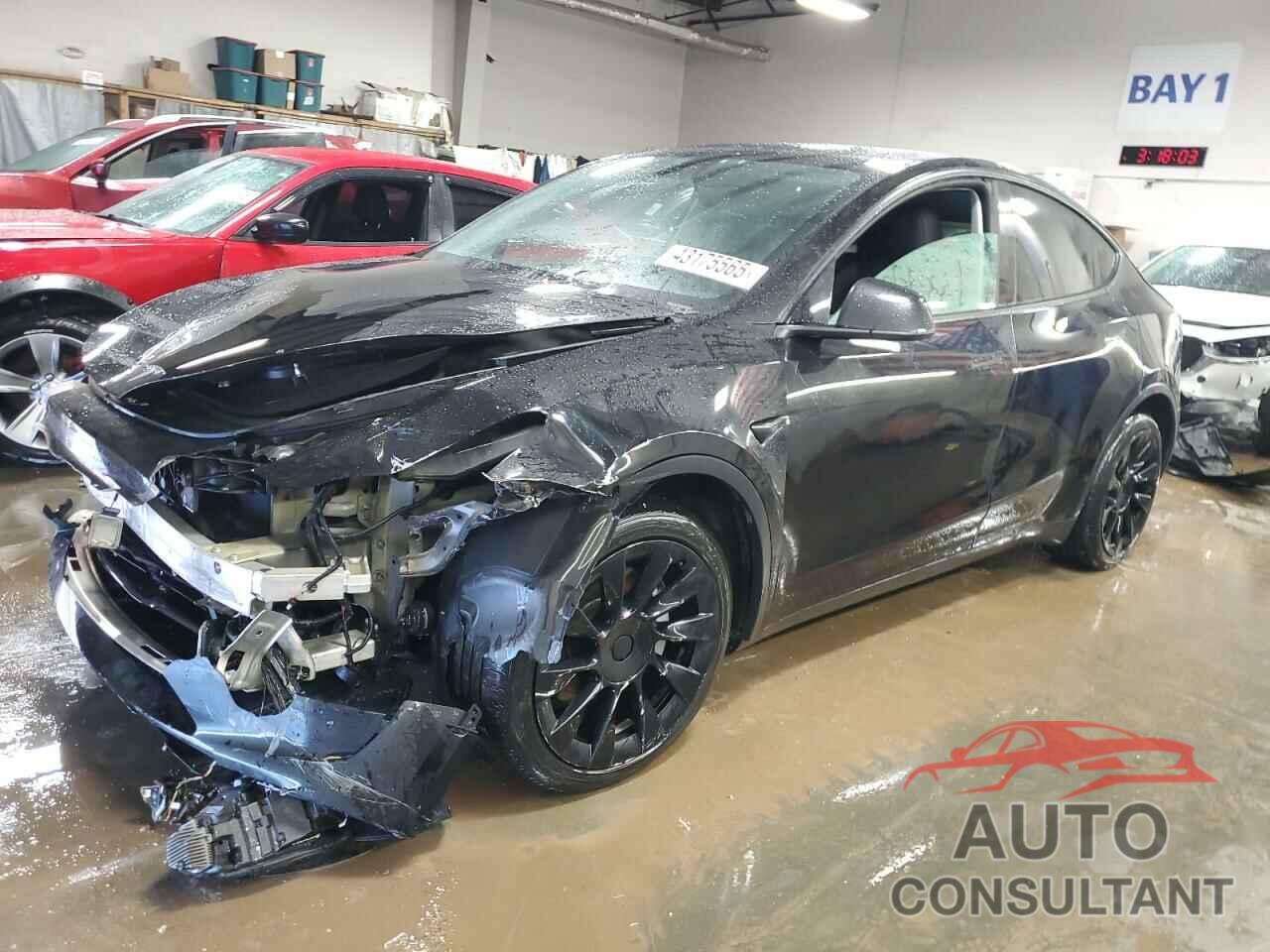 TESLA MODEL Y 2021 - 5YJYGDEE9MF123815