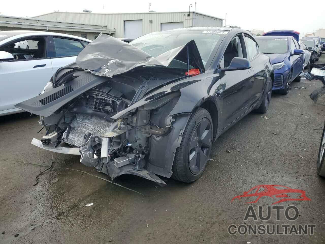 TESLA MODEL 3 2022 - 5YJ3E1EBXNF129788