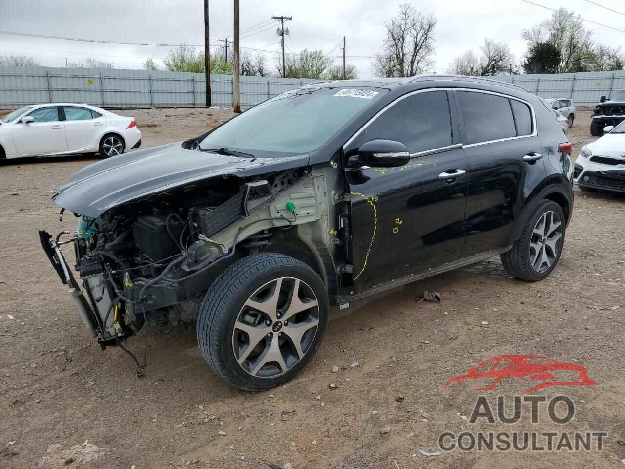 KIA SPORTAGE 2017 - KNDPR3A6XH7153190