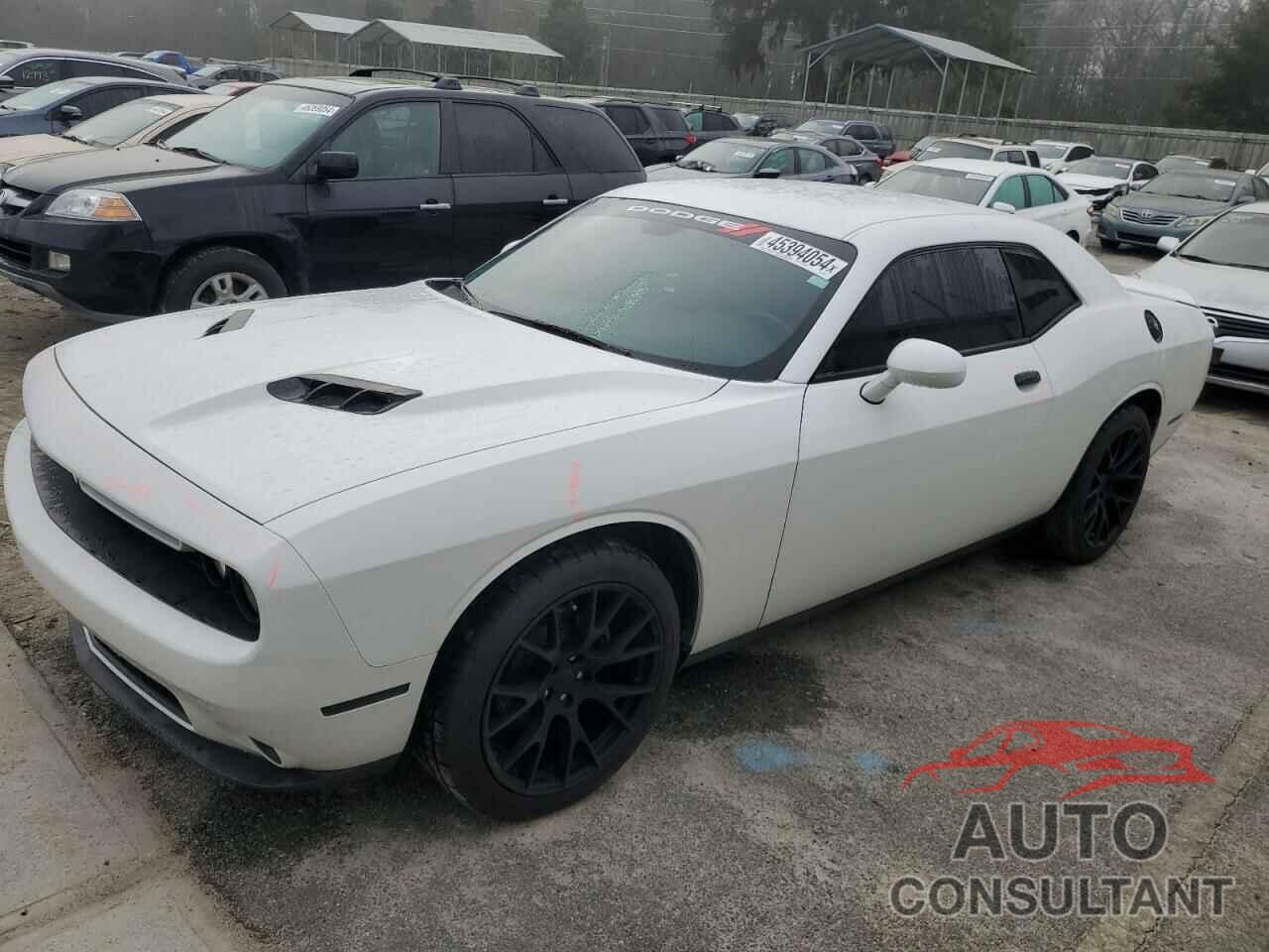 DODGE CHALLENGER 2019 - 2C3CDZAG3KH669416