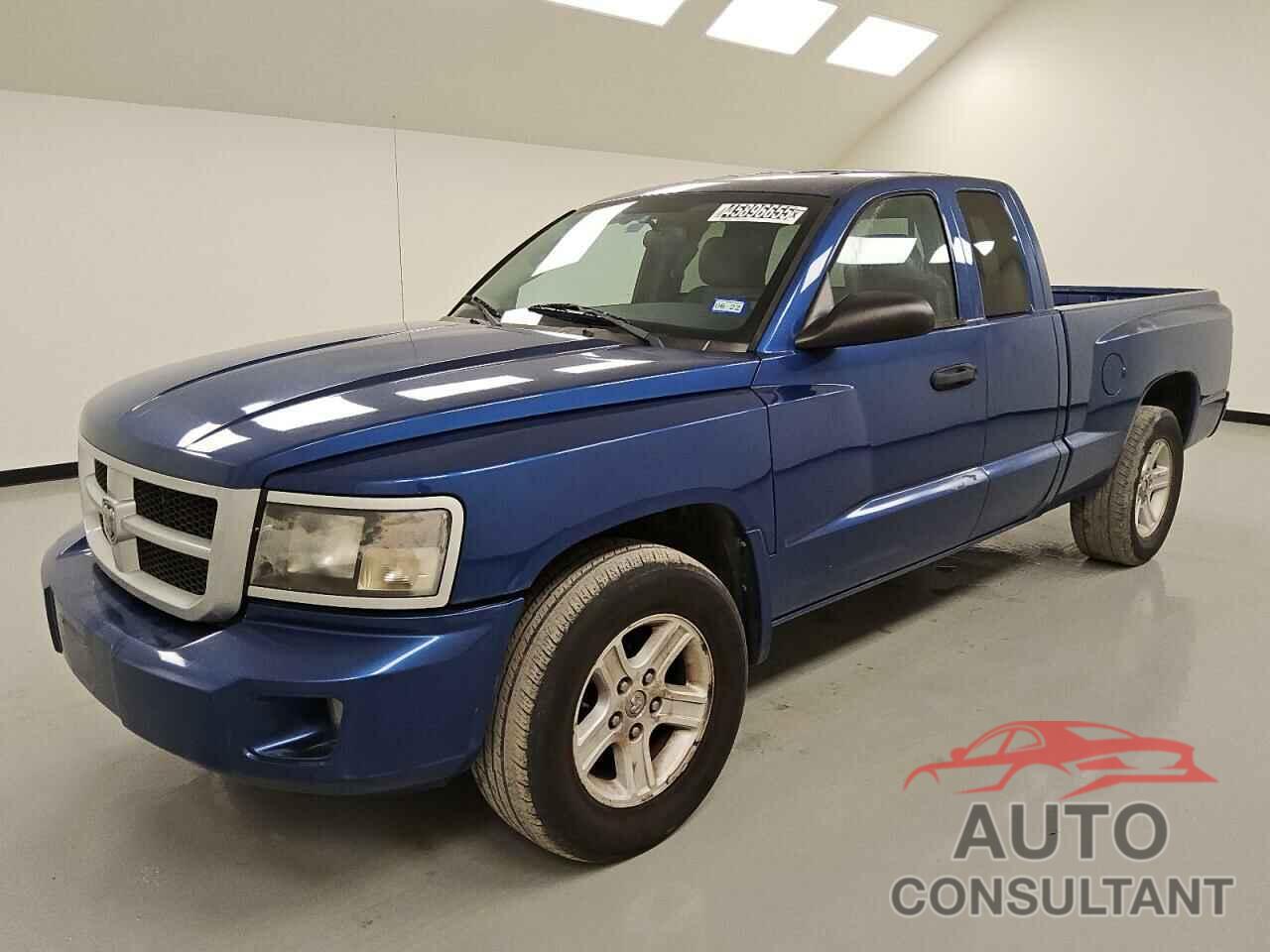 DODGE DAKOTA 2011 - 1D7RE3BK3BS592726