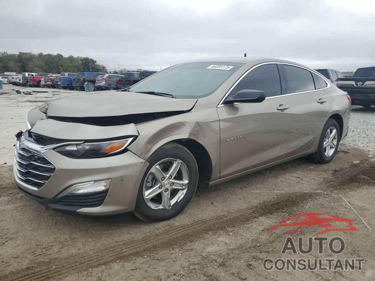 CHEVROLET MALIBU 2024 - 1G1ZC5ST6RF162740