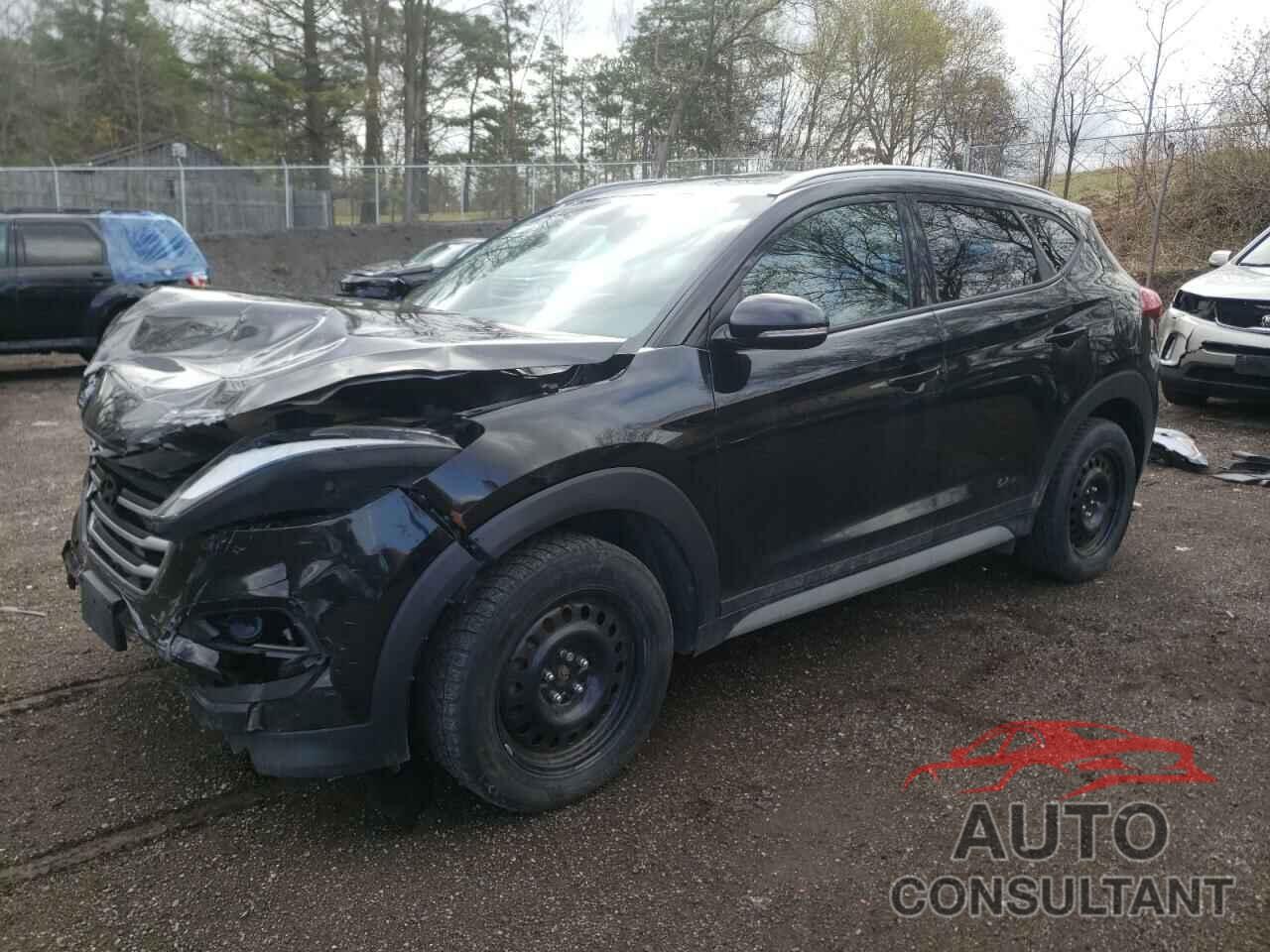 HYUNDAI TUCSON 2017 - KM8J33A40HU441853