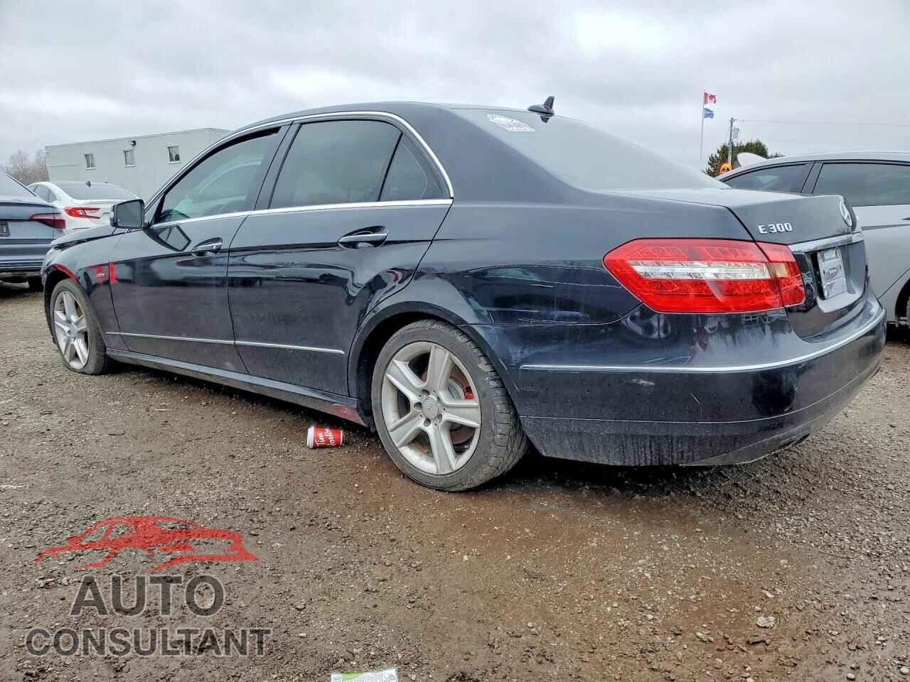 MERCEDES-BENZ E-CLASS 2012 - WDDHF82B2CA625244