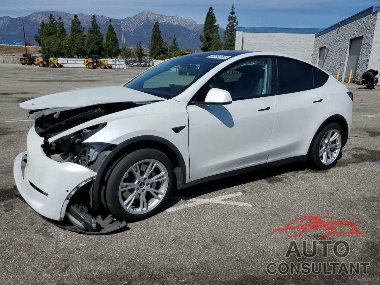 TESLA MODEL Y 2020 - 5YJYGDEE1LF031953