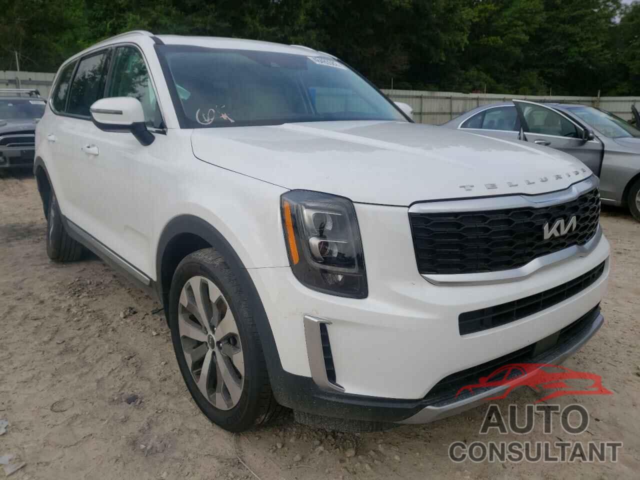 KIA TELLURIDE 2022 - 5XYP3DHC1NG195135