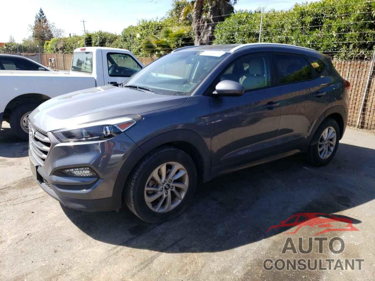 HYUNDAI TUCSON 2016 - KM8J33A49GU095624