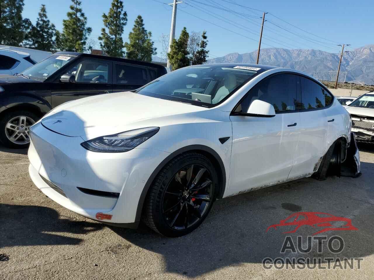 TESLA MODEL Y 2020 - 5YJYGDEF1LF051774