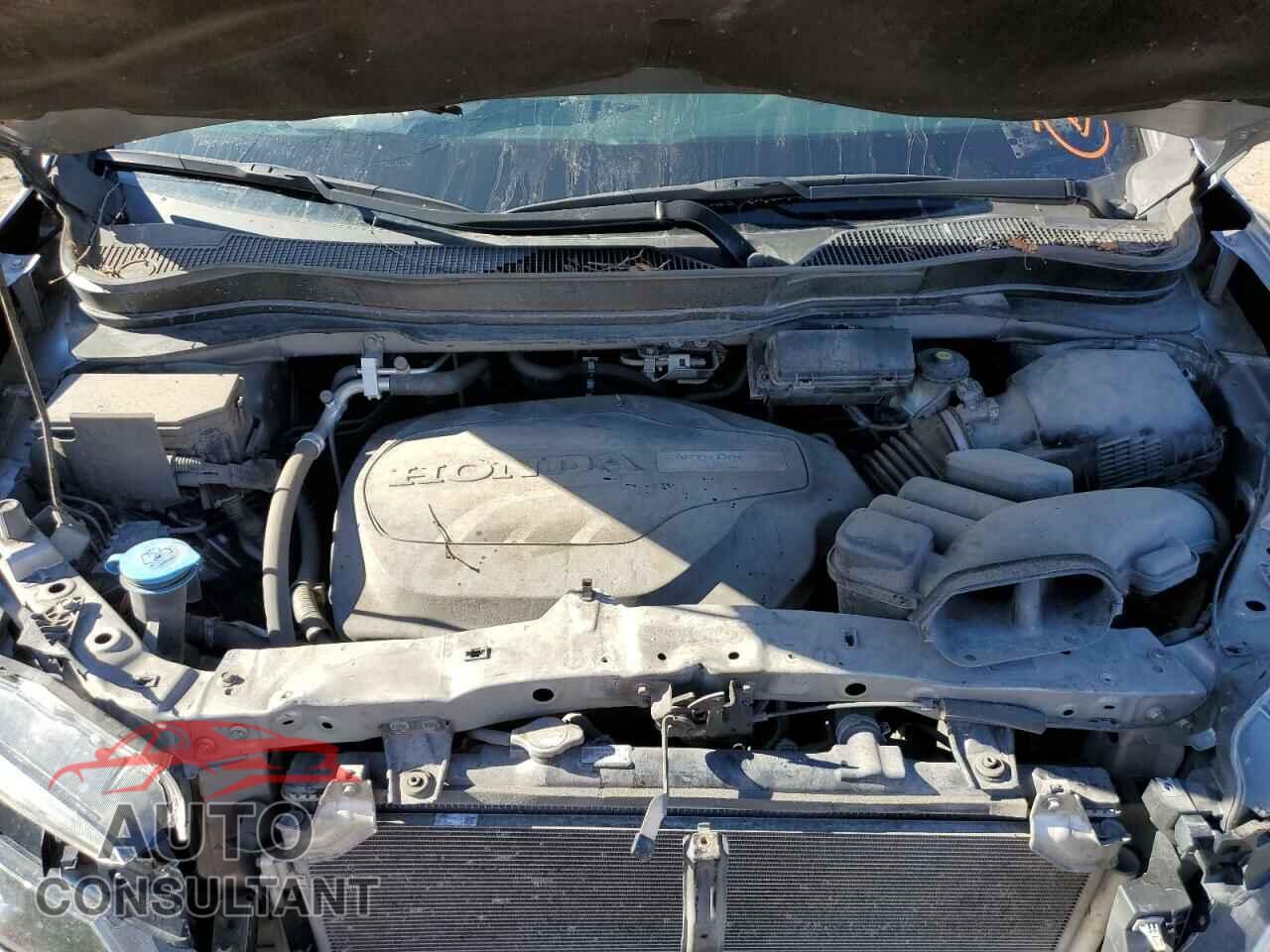 HONDA RIDGELINE 2019 - 5FPYK3F60KB028922