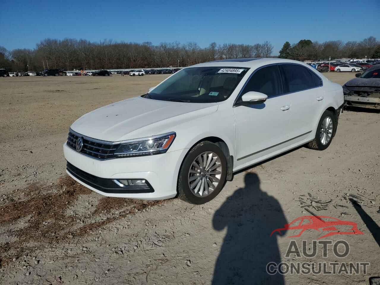 VOLKSWAGEN PASSAT 2016 - 1VWBS7A31GC064266