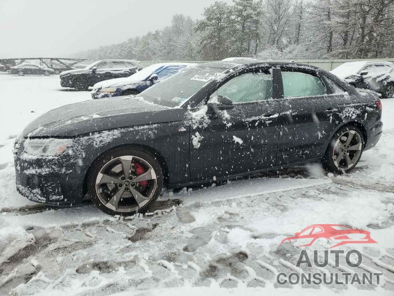 AUDI A4 2023 - WAUEAAF48PA012790