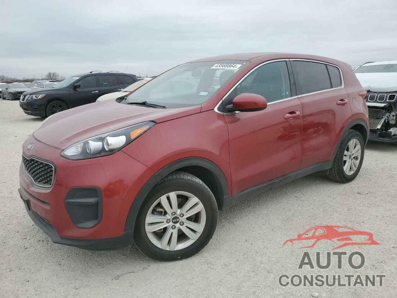 KIA SPORTAGE 2019 - KNDPM3AC5K7593815
