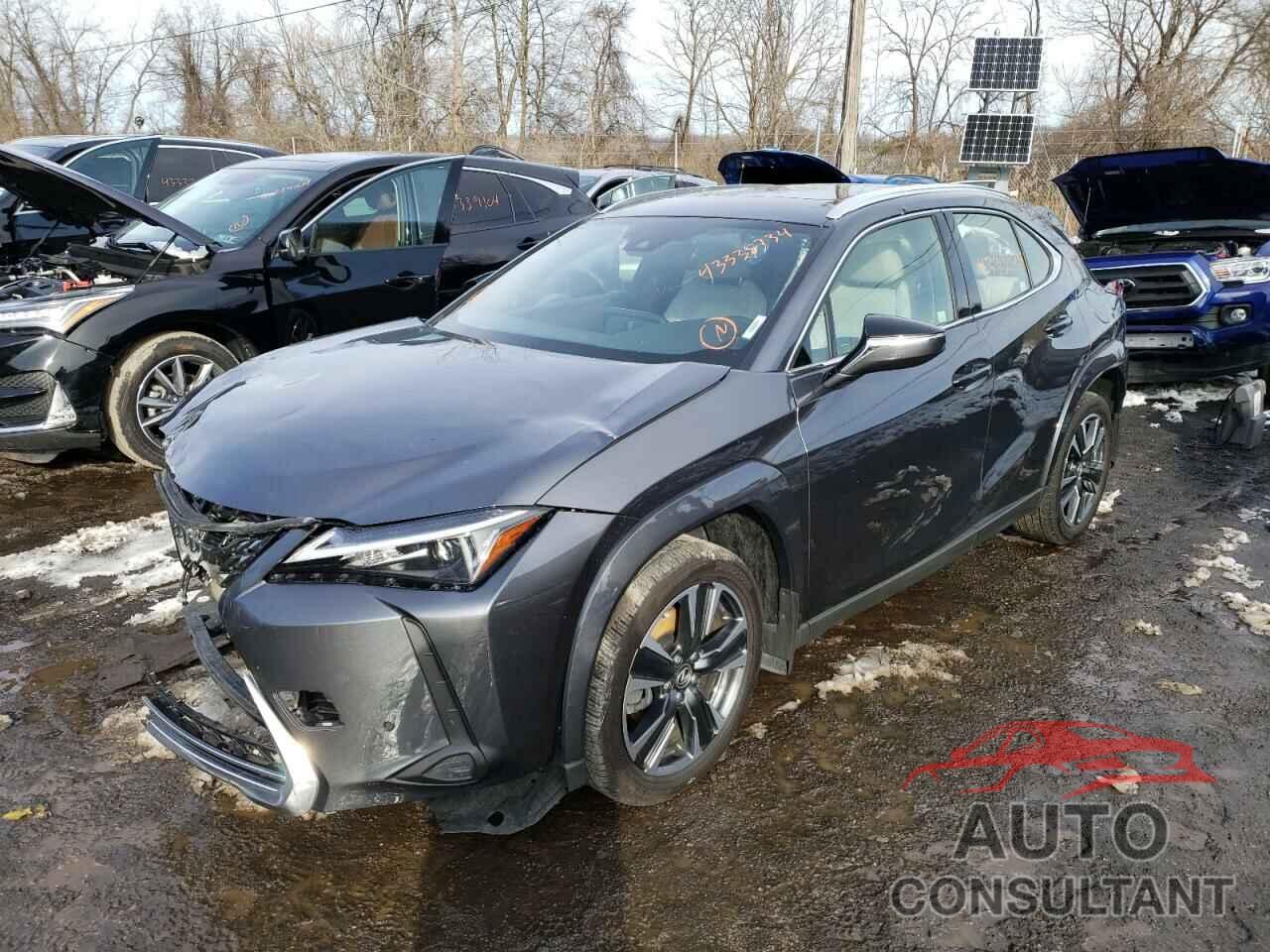 LEXUS UX 250H PR 2023 - JTHP9JBH1P2066115