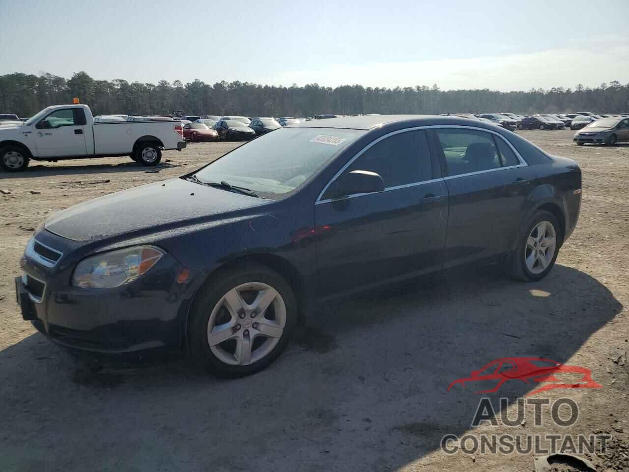 CHEVROLET MALIBU 2011 - 1G1ZB5E15BF298358
