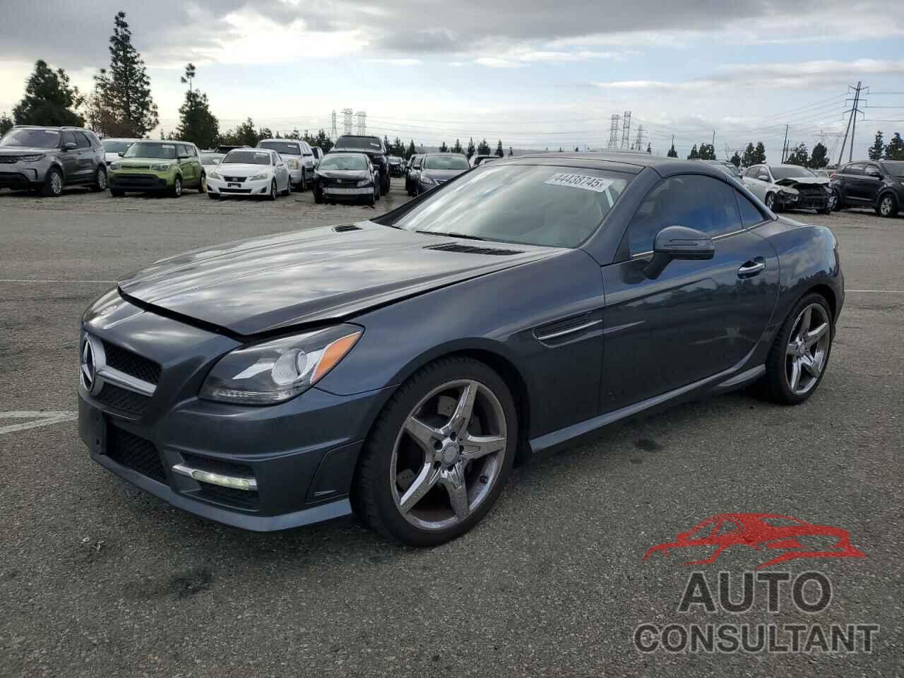 MERCEDES-BENZ SLK-CLASS 2012 - WDDPK5HA9CF024663