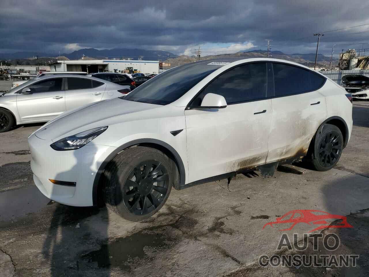 TESLA MODEL Y 2020 - 5YJYGDEE5LF040347