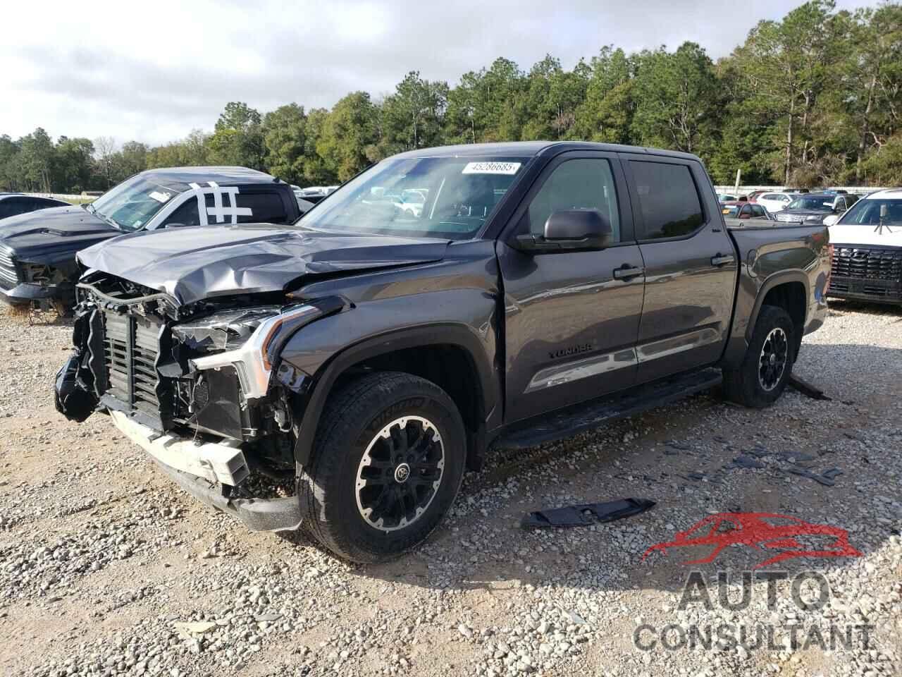TOYOTA TUNDRA 2024 - 5TFLA5DB1RX184761