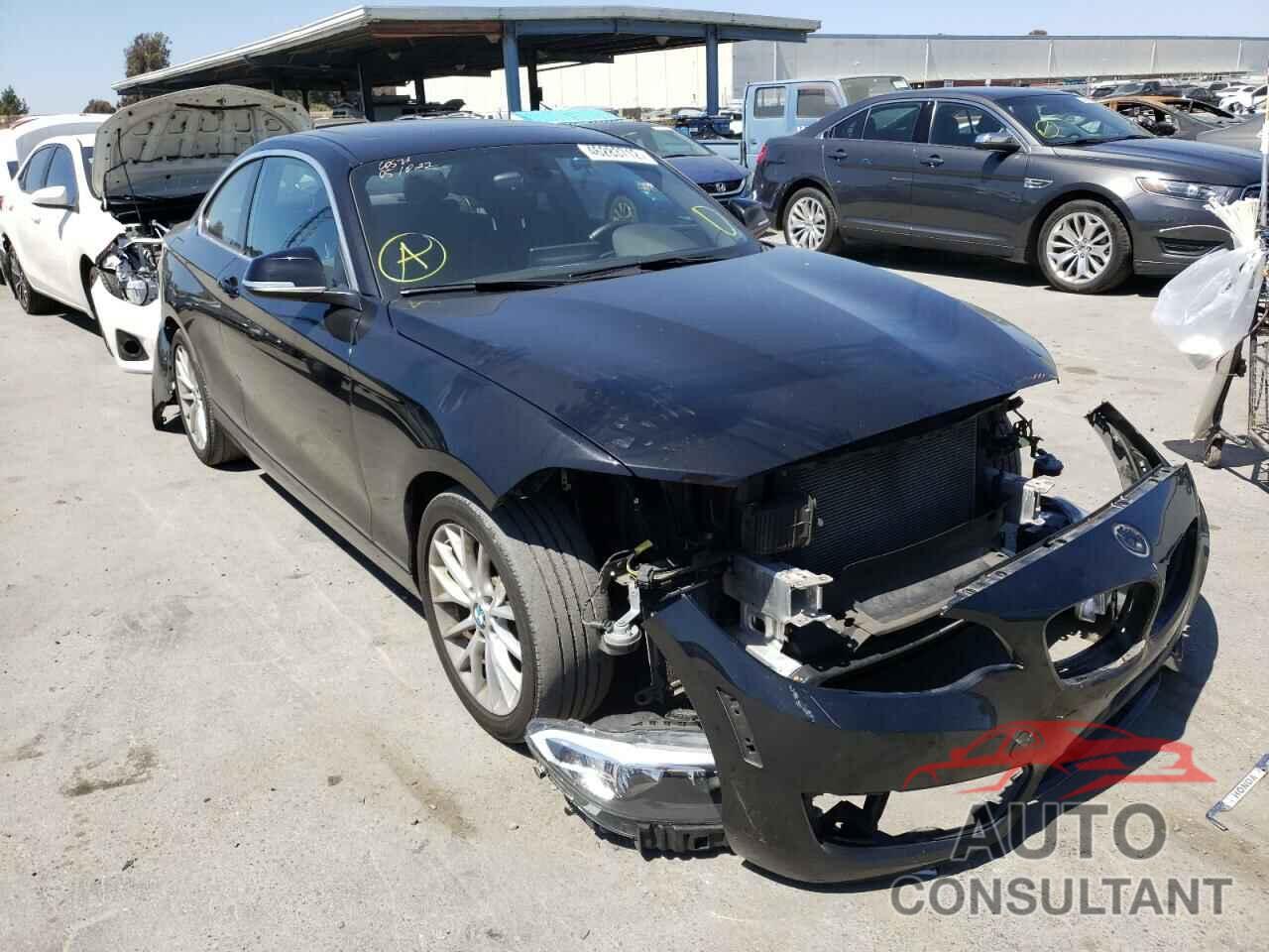 BMW 2 SERIES 2016 - WBA1F9C55GV546284