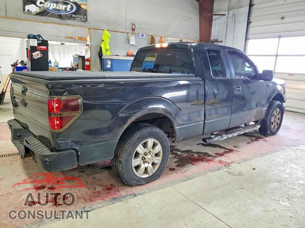 FORD F150 2010 - 1FTFX1EV5AFD75574
