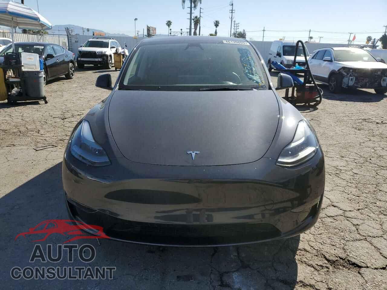 TESLA MODEL Y 2024 - 7SAYGAEE2RF009616