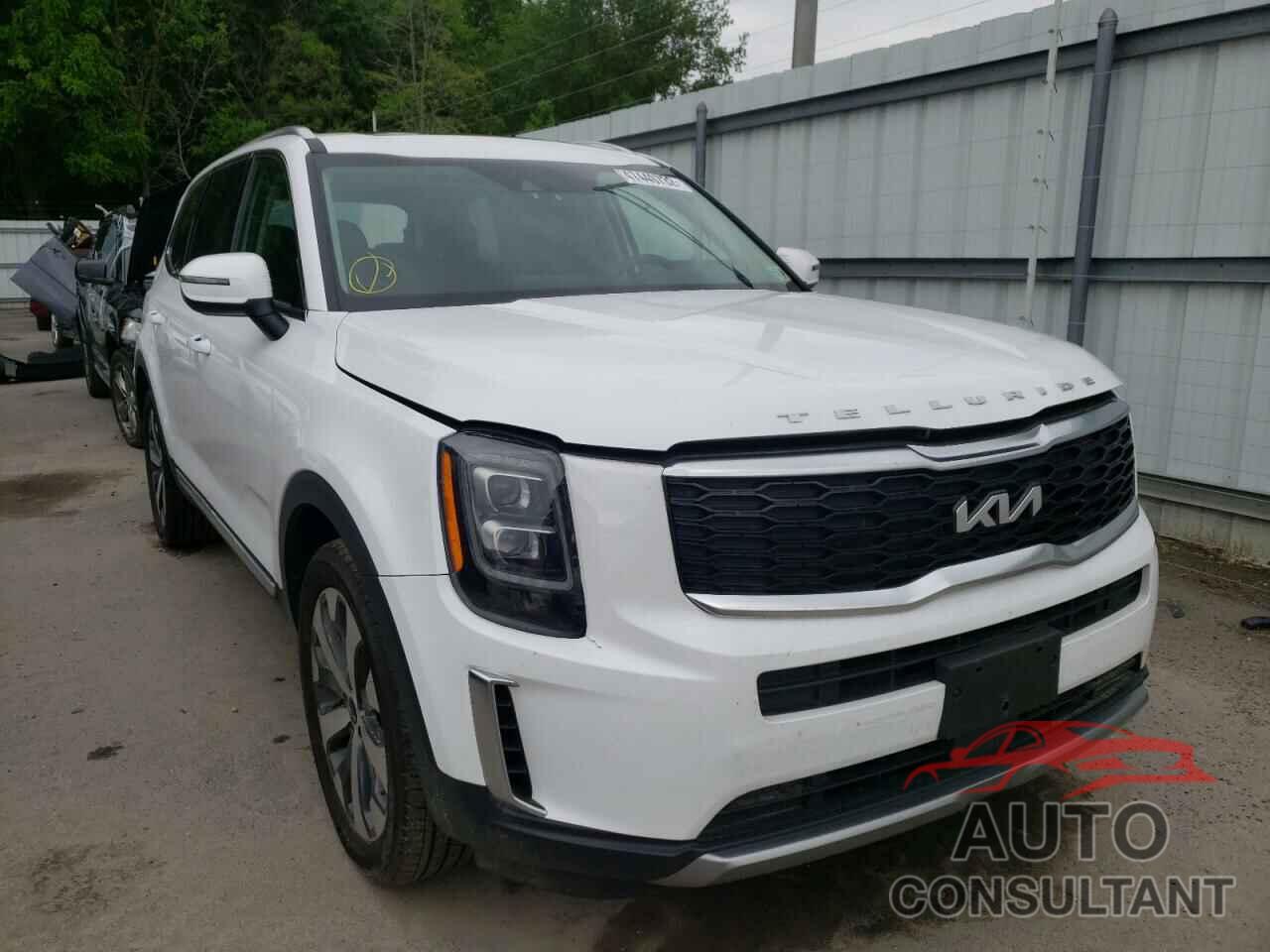 KIA TELLURIDE 2022 - 5XYP3DHC6NG238822