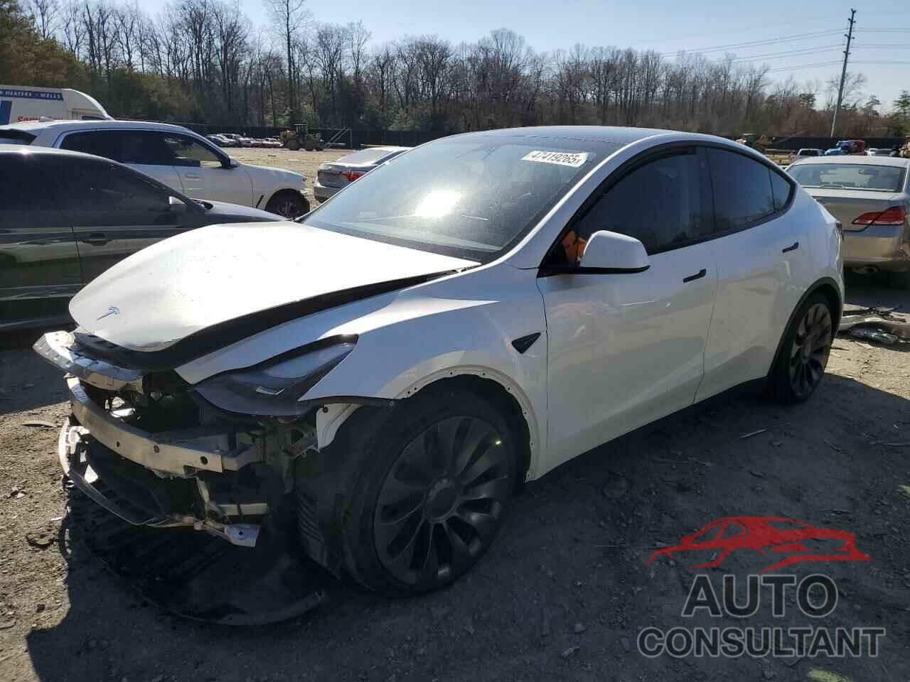 TESLA MODEL Y 2023 - 7SAYGDEF4PF779825