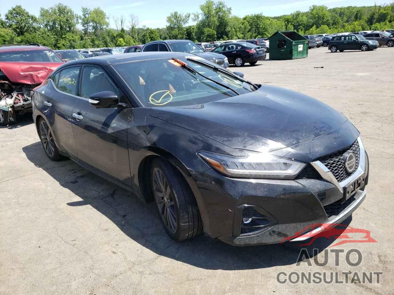 NISSAN MAXIMA 2019 - 1N4AA6AV4KC384709